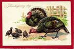 Embossed, Thanksgiving Day, R.J. Wealthy, R. Tuck  1900-10s - Giorno Del Ringraziamento