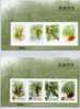 Printing Plate Proofs Of 2009 Ferns Stamps S/s Tree Fern Flora Vegetable - Legumbres