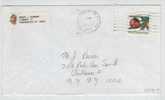 USA Cover Sent To New York POUGHKEEPSIE NY. 28-12-1987 - Storia Postale