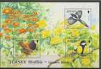 ILE DE JERSEY   Faune Oiseaux   BF78** - Colibris