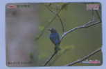 TIT ( Japan ) Mesange Teta Meise Tetta Mees Tits Mesanges Bird Oiseau Birds Oiseaux Vogel Uccello Pajaro Ave Aves - Pájaros Cantores (Passeri)