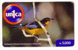 TIT ( Venezuela ) Mesange Teta Meise Tetta Mees Tits Mesanges Bird Oiseau Birds Oiseaux Vogel Uccello Pajaro Ave Aves - Passereaux