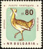 Bulgarie. Bulgaria. 1961. Outarde Barbue ( Otis Tarda ) - Hühnervögel & Fasanen