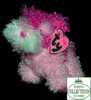 Pinkys Glitters Dog TY Beanies Babies - Plush - Figurine - Keychain - Porte-clés - Chien - Sonstige & Ohne Zuordnung