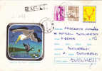 Registred ENTIER POSTAUX STATIONERY COVER  BIRDS,PELICANS 1971 ,ROMANIA Cod.614/71. - Pelícanos