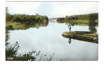 CPSM COULANGES SUR YONNE Les Bords De L'yonne En 1966(pêcheur) - Coulanges Sur Yonne