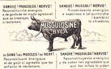 LESSIEUX .... MUSCLOSINE BYLA ... PUBLICITE - Lessieux