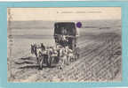 LAGHOUAT  -  Le Courrier à La Prise D´Eau  - 1915  - BELLE CARTE ANIMEE  - - Laghouat