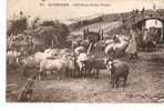 AUVERGNE INTERIEUR D'UNE FERME (PERSONNAGES MOUTONS)  REF 18675 - Farms