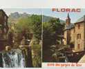 Cp , 48 , FLORAC , Porte Des Gorges Du Tarn , Alt. 545m. - Florac