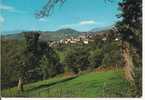 SANT'ELPIDIO - RIETI - PANORAMA DI GRANARA - COLORI VIAGGIATA  1973 - - Rieti