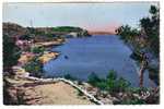 ISTRES - Bords De L'etang De Berre - 1958 - Istres