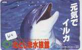 Télécarte Japon * DAUPHIN * DOLPHIN (614) Japan Phonecard * DELPHIN * GOLFINO * DOLFIJN - Delfines