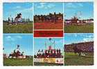 Postcard - Horse Show, Ljubičevo, Serbien - Horse Show