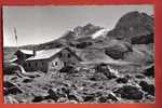 V925 Hotel Anzeindaz Sur Villars Refuge Des Diablerets.Cachet Gryon 1955.Gyger 13253 - Gryon