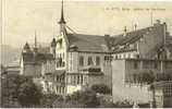 Bulle - Institut De Ste Croix      Ca. 1910 - Bulle