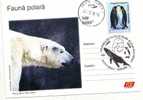 M882 Postal Card Romania Explorateurs Antartica Fauna Polar Bear Ours Perfect Shape - Ours