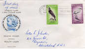 Nouvelle-Zelande. Oiseaux Kereru & Kotare. FDC 1961.   Prix Reduit ! - FDC