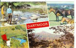 DARTMOOR - Dartmoor