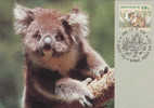 Ours,Bears  1992 Obliteration FDC, Maxicard,carte Maximum Australia . - Osos