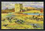 RB 609 - Artist Donald Watson - Postcard Bean Geese At Threave Castle Kirkcudbrightshire Scotland - Bird Theme - Kirkcudbrightshire