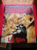 SAUVAGES !! LE LION -TIME LIFE-1998- 4 PHOTOS DE LA REVUE - Animali