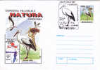 BIRD CIGOGNES "CICONIA" BARZA ALBA - ENTIER POSTAUX,COVER STATIONERY,1998 ROMANIA. - Storchenvögel