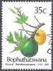 Bophuthatswana 1991 Michel 258 O Cote (2002) 1.00 Euro Plante Noix De Coco Cachet Rond - Bophuthatswana