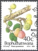 Bophuthatswana 1991 Michel 259 O Cote (2002) 1.20 Euro Figue Cachet Rond - Bofutatsuana