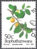Bophuthatswana 1991 Michel 260 O Cote (2002) 1.60 Euro Umkokolo Cachet Rond - Bophuthatswana