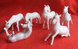 6 Petit Chevaux En Porcelaine Blanche - Sonstige & Ohne Zuordnung