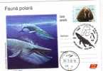 M879 Postal Card Romania Baleines Whales Blue Whale Perfect Shape - Ballenas