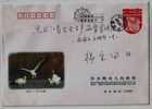 City Bird,Oriental White Stork,China 2008 Jiamusi City New Year Greeting Postal Stationery Envelope - Storchenvögel