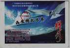 Sea Gull,seagull Bird,CN10 Chuangyi FRP Pipe Fiber Composite Fiberglass Material Company Advert Pre-stamped Letter Card - Gabbiani