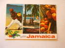 Jamaica   -  D70604 - Jamaica