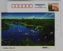 Migrant Bird View,China 2008 Daqing Reed Wetland Landscape Advertising Postal Stationery Card - Canards