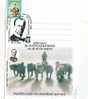 M794 Postal Card Romania Explorateurs Douglas Mawson Dogs Chiens Perfect Shape - Erforscher