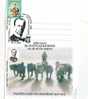 M794 Postal Card Romania Explorateurs Douglas Mawson Dogs Chiens Perfect Shape - Onderzoekers