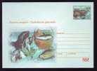 WHALE,BALEINES  2002 COVER POSTAL STATIONERY ENTIER POSTAUX,POLAR FAUNA. - Balene