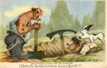 CHASSE AU FURET Carte Humoristique Illustrée Raffray - Chasse