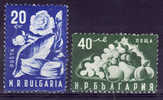 BULGARIE - 685/686** Cote 9 Euros Depart à 10% - Unused Stamps