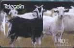 # NEW_ZEALAND NZ22S_3 Farm Animals - Feral Goat 10 Gpt 01.94 Tres Bon Etat - Nieuw-Zeeland