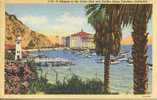 SANTA CATALINA - YACHT CLUB AND CASINO 1949 - Los Angeles