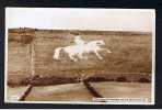 RB 612 - Real Photo Postcard - The White Horse Near Weymouth Dorset - Chalk Horse - Weymouth