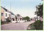 MORBIHAN.ALLAIRE.ROUTE DE SAINT JACUT L ENTREE DU BOURG   ..MODERNE - Allaire