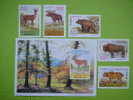 Belarus 1995 Bisons Bears Nature Block + 5st. ** MNH Bielorussia - Ours