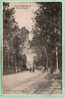 Delcampe - 80 - AILLY Sur NOYE -- Route De Jumel - Ailly Sur Noye