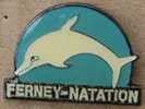 DAUPHIN - FERNEY NATATION - Swimming