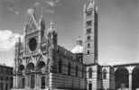 1965 SIENA IL DUOMO - Bisceglie