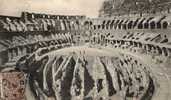 1905  ROMA  INTERNO DEL COLOSSEO - Coliseo